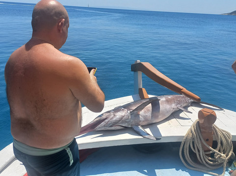 Petalioi Trips-Marmari必去景点