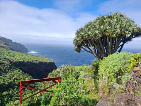 La Palma Outdoor-La Palma必去景点