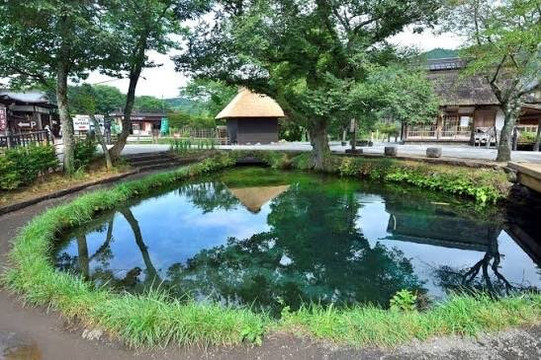 Nigori-ike Pond-忍野村必去景点