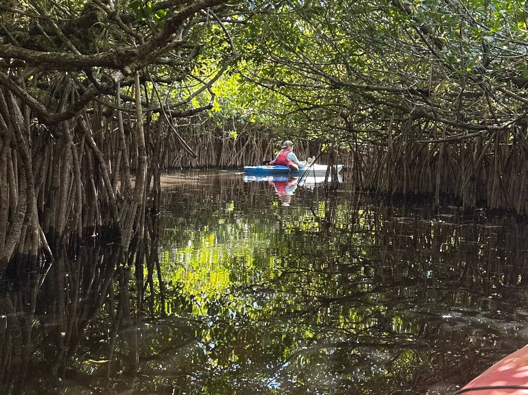 Everglades Adventures Kayak & Eco Tours-大沼泽地必去景点