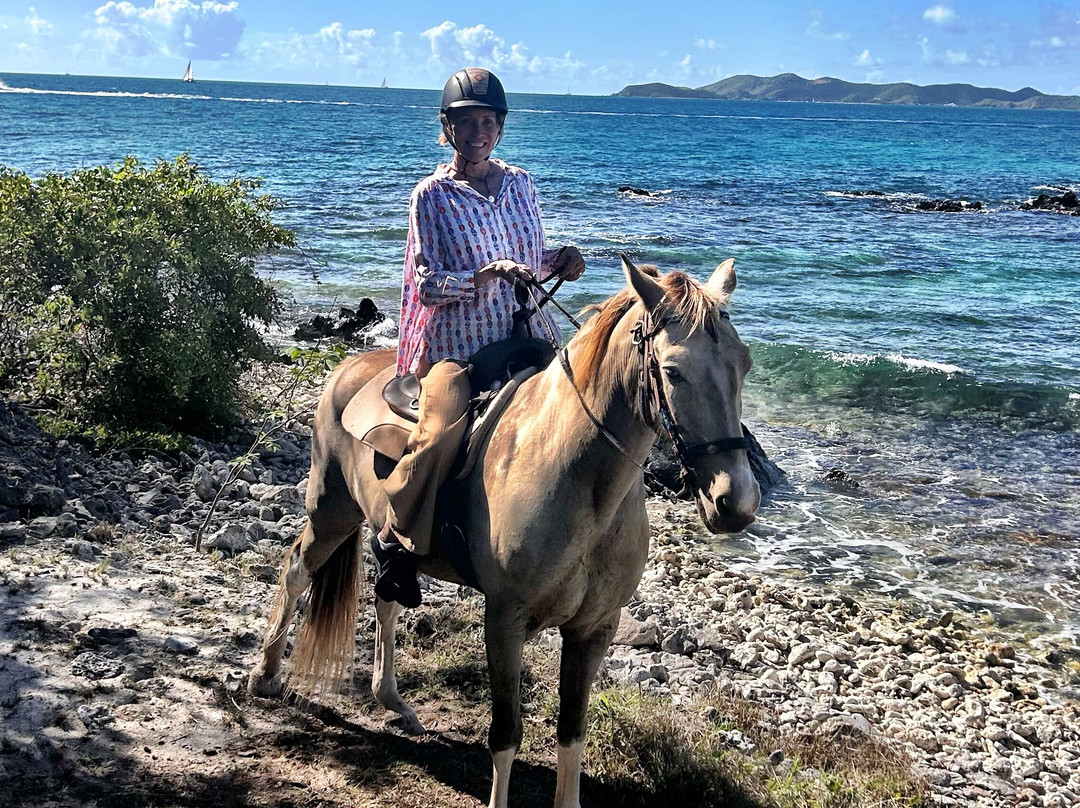 The Aerial, BVI主图