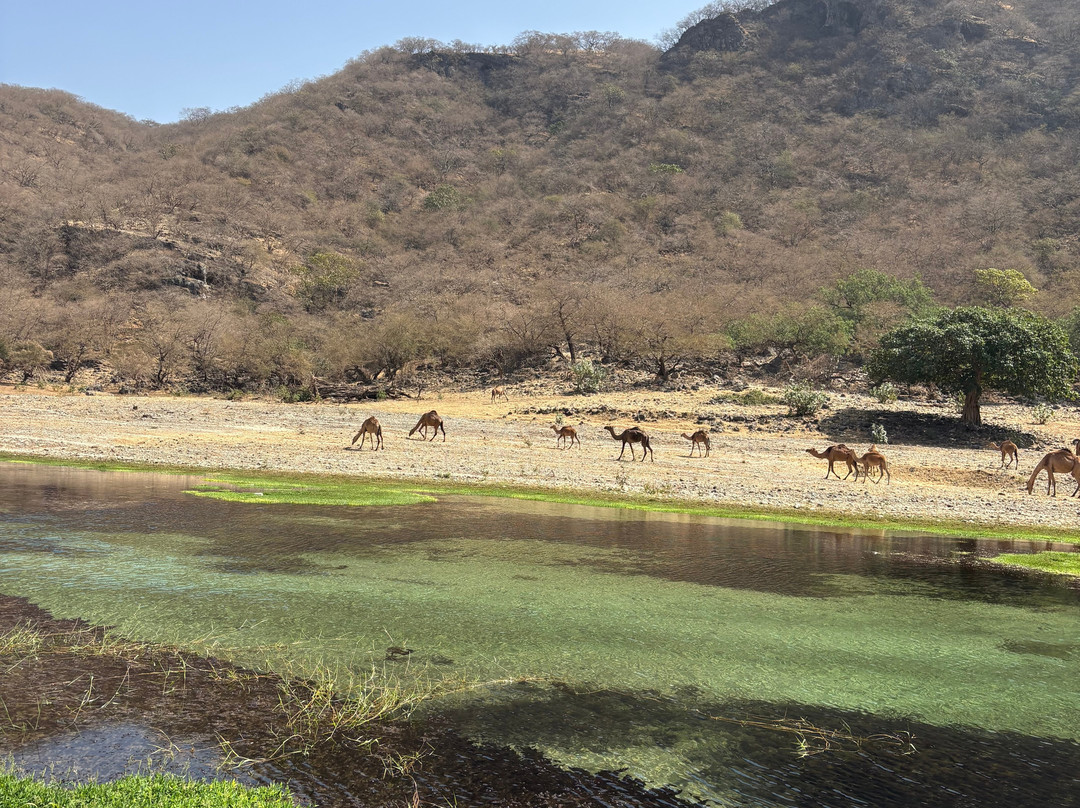 Glory Tours Salalah-塞拉莱必去景点