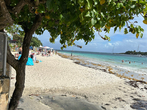 Plage de la Datcha-Le Gosier必去景点