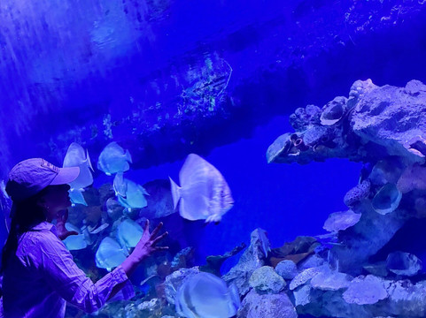 Hurghada Grand Aquarium-赫尔格达必去景点
