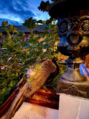 Hosteria La Andaluza-浴室