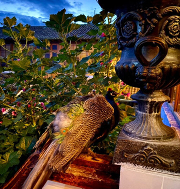 Hosteria La Andaluza主图