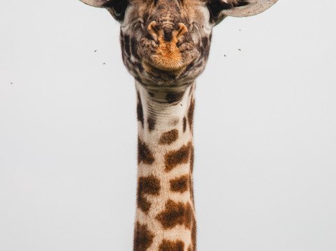 Great Escape Trails-莫西必去景点