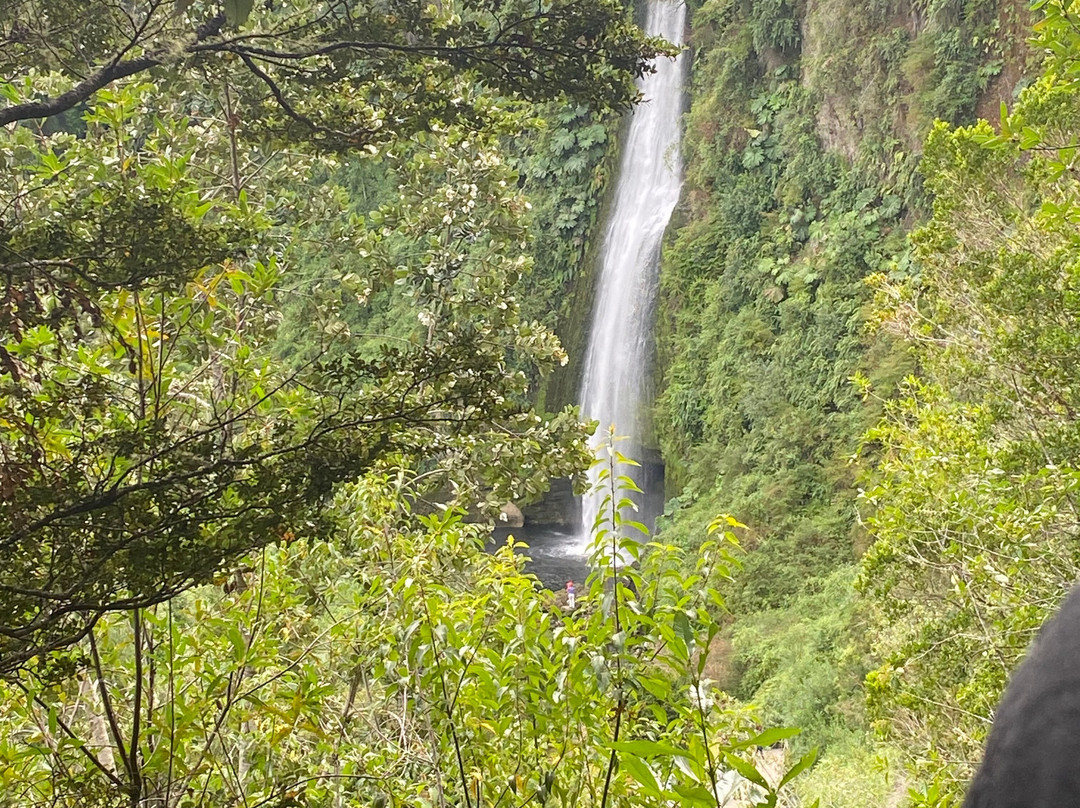 Cascadas de Tocoihue-Dalcahue必去景点