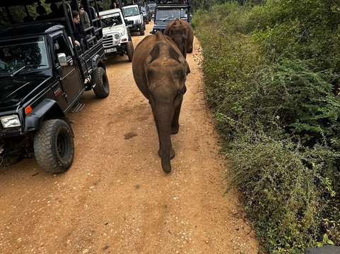 DIDI Explorer Lanka-班托塔必去景点