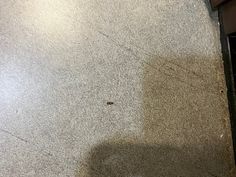 帆船酒店-美溪海滩主图