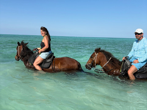 Unique Tours and Rentals-普罗维登西亚莱斯必去景点