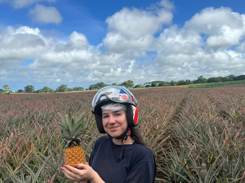 Quad Activities Constance Flacq-Centre de Flacq必去景点