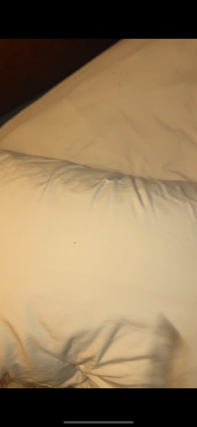 湖城北伊克诺旅馆-官方