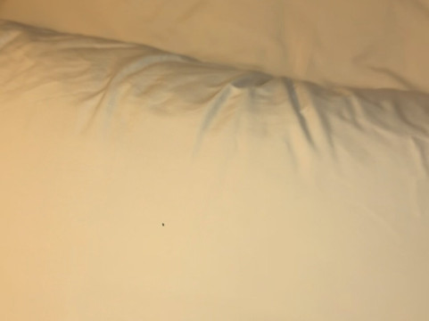 湖城北伊克诺旅馆主图