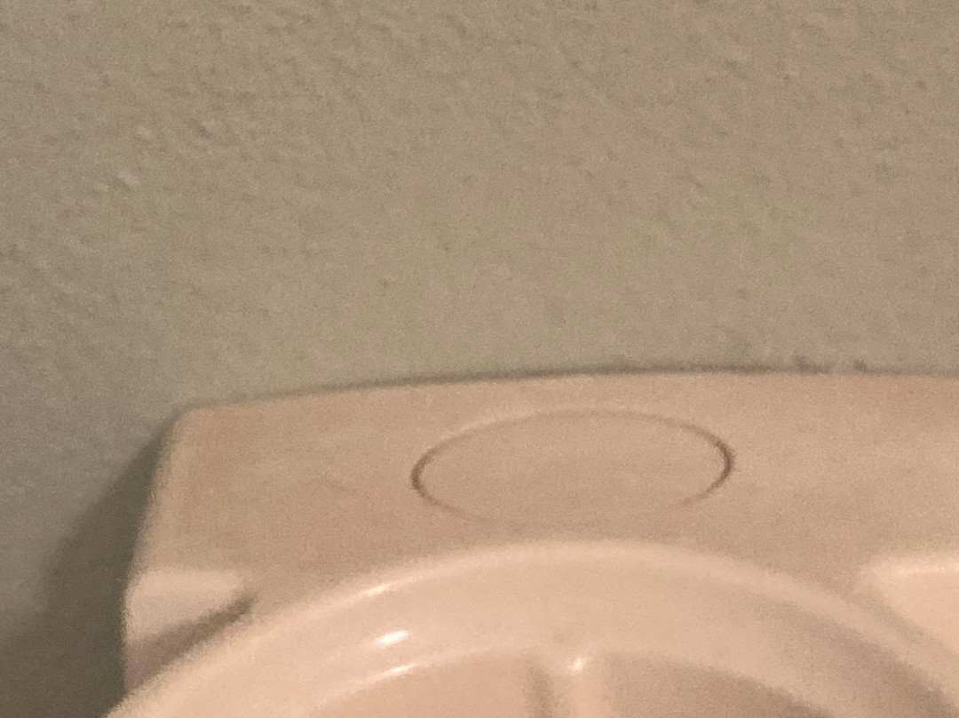 阿洛米皮克罗酒店主图