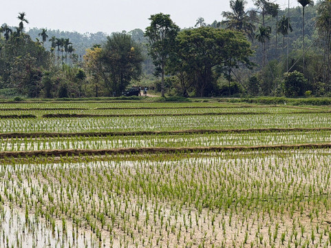 苏维斯塔拉瓦亚纳德酒店主图