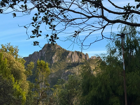 Kauaeranga Kauri Trail (Pinnacles Walk)-Thames必去景点