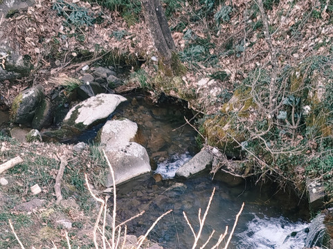 特佩特里纳酒店主图
