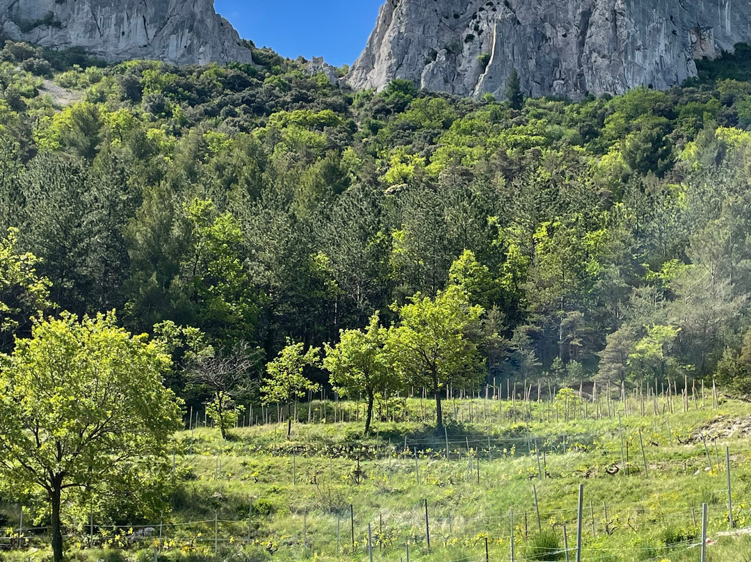 Madame Voyage En Provence-Rognes必去景点