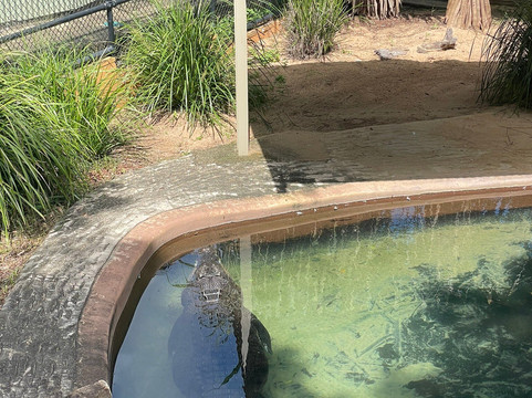 Rockhampton Zoo-罗克汉普顿必去景点