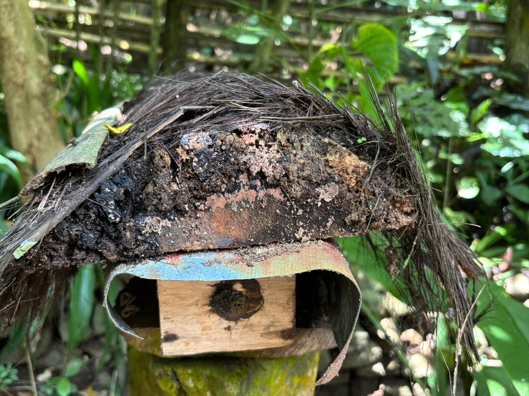 Honeybee Farm & Luwak Coffee Agrotourism-登安南必去景点