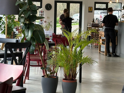 Alder Vineyard-Lewdown必去景点