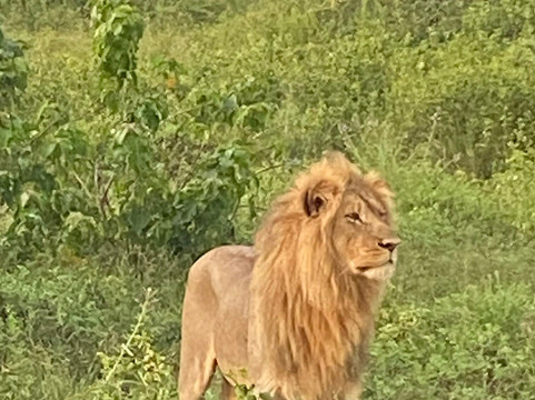 Safari Specialists-马翁必去景点