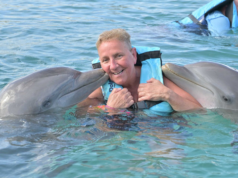 Dolphin Discovery Grand Cayman-西湾必去景点