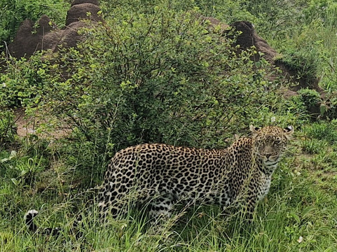 Zara Tanzania Adventures-莫西必去景点