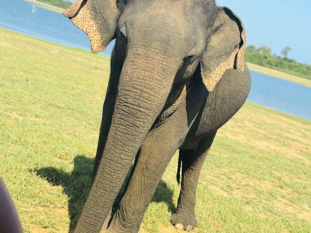 Manu Tours & Travels-亚洪加拉必去景点