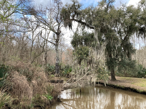 Palmetto Island State Park-Abbeville必去景点