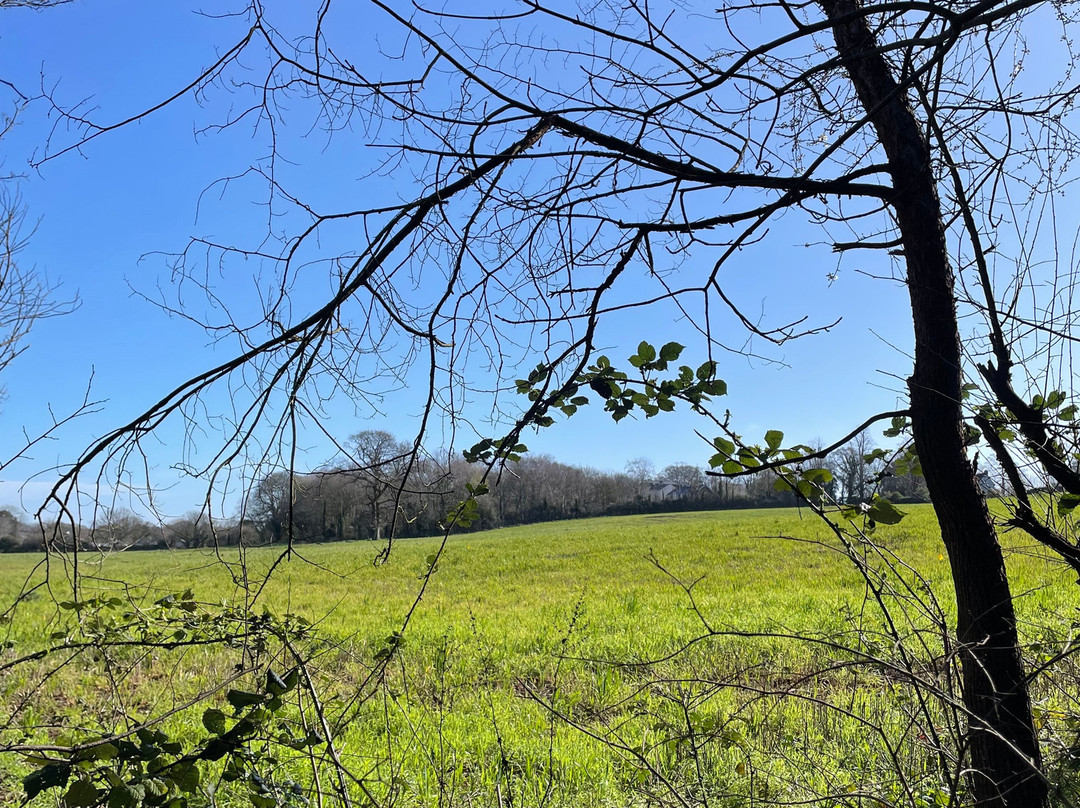 西布里斯托尔温德姆华美达酒店主图