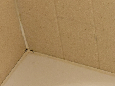 阿代尔斯维尔/卡尔霍恩区欢朋酒店主图