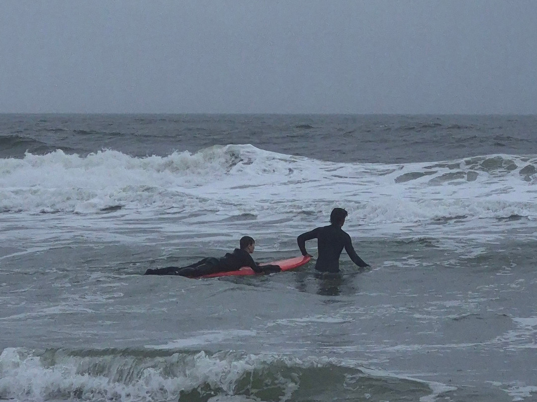 Tony Silvagni Surf School-卡罗来纳比奇必去景点