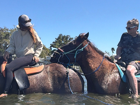Florida Beach Horses-布雷登顿必去景点