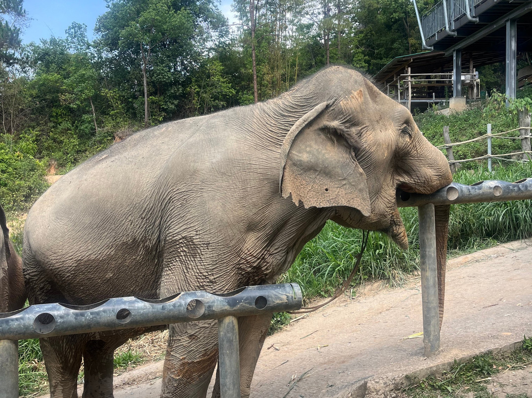 Chang Chill-Mae Win必去景点