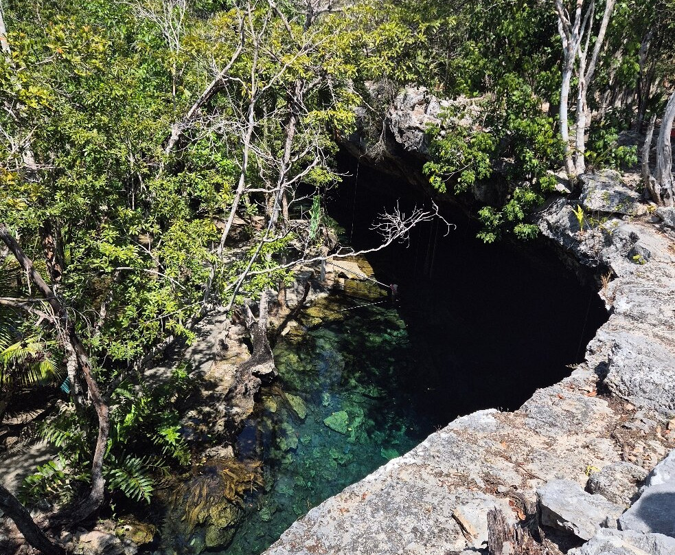 The Cenote Guy - Cenote Diving-普拉亚德尔卡曼必去景点
