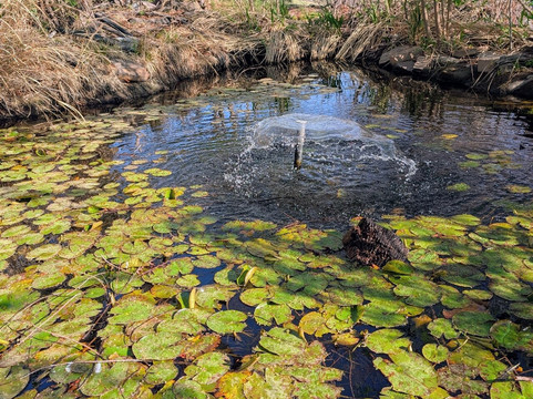 River Bend Nature Center-威奇托福尔斯必去景点