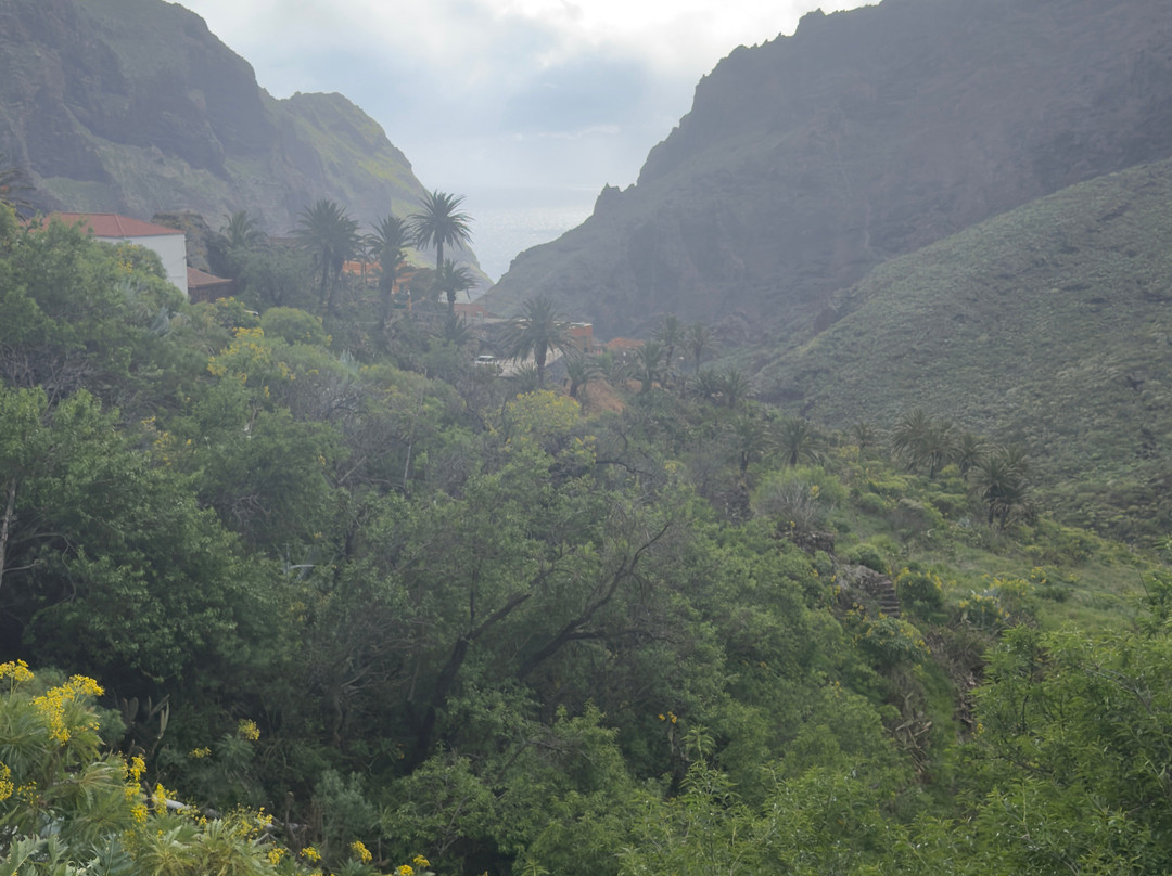 Tenerife First Excursions-奥德杰海岸必去景点