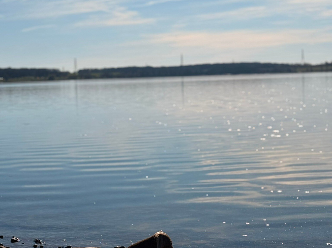 Grafham Water Centre-亨廷顿必去景点