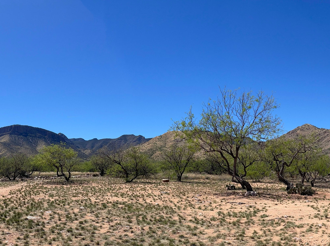Kartchner Caverns State Park-Benson必去景点