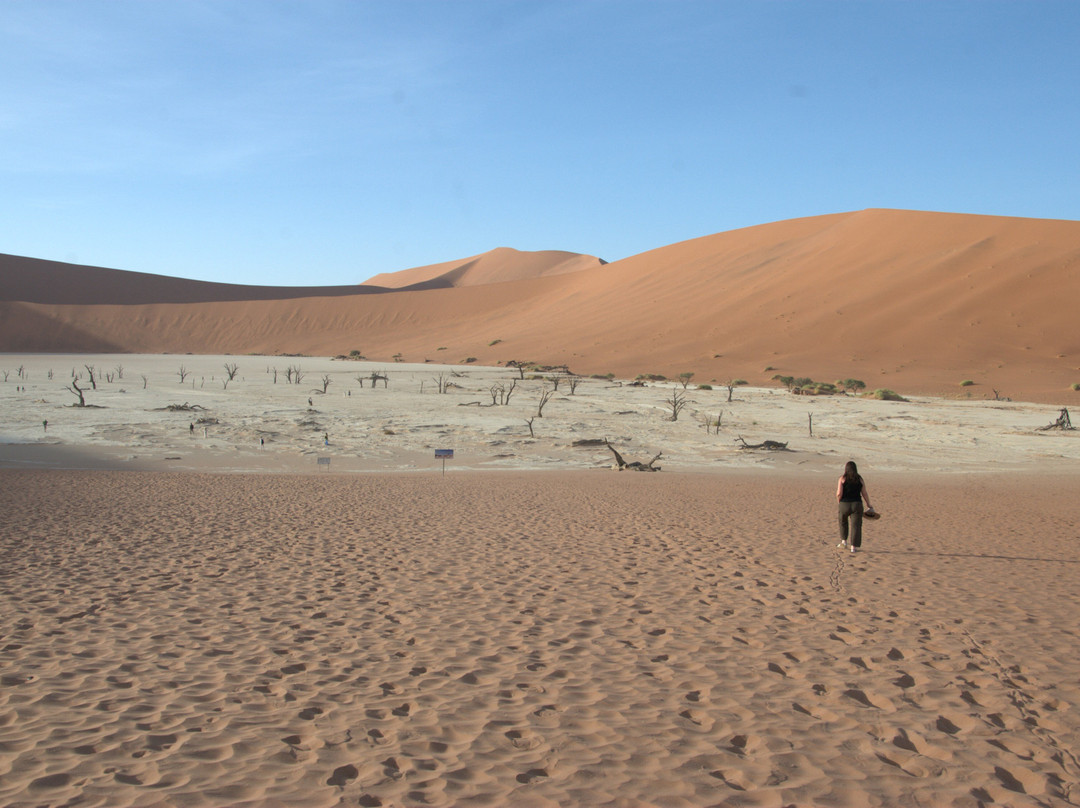 Deadvlei-苏丝斯黎必去景点