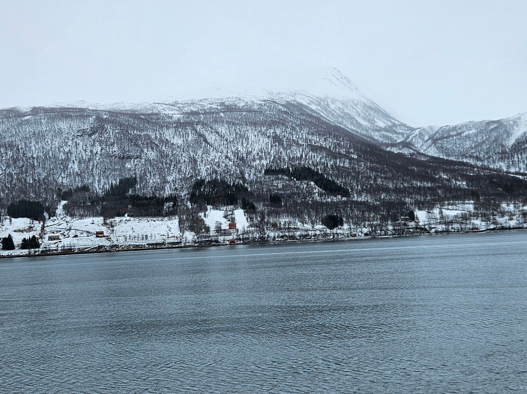特罗姆瑟峡湾-特罗姆瑟必去景点