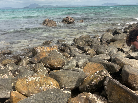 Malampaya Ecotours-Taytay必去景点