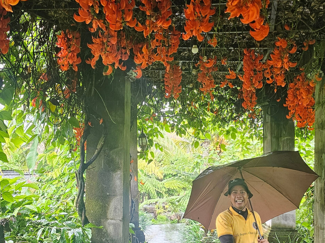 珊翠亚咖啡种植园-乌布必去景点