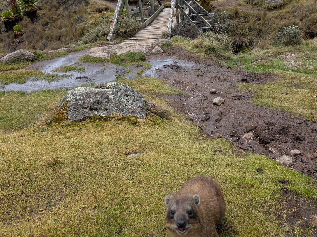 Ahambi Tours-南由基必去景点