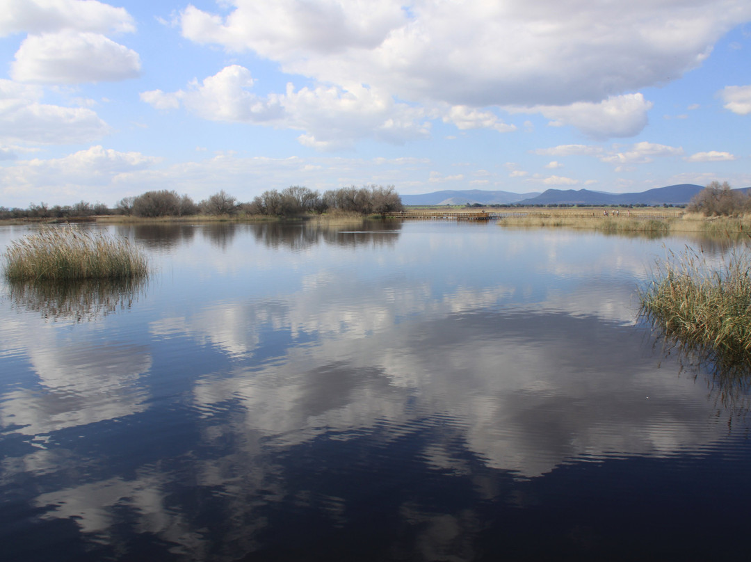 Parque Nacional de las Tablas de Daimiel-Daimiel必去景点