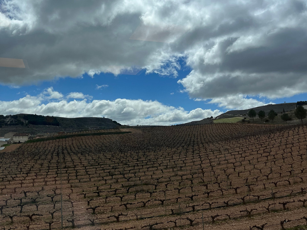 Bodega Convento Oreja-Penafiel必去景点