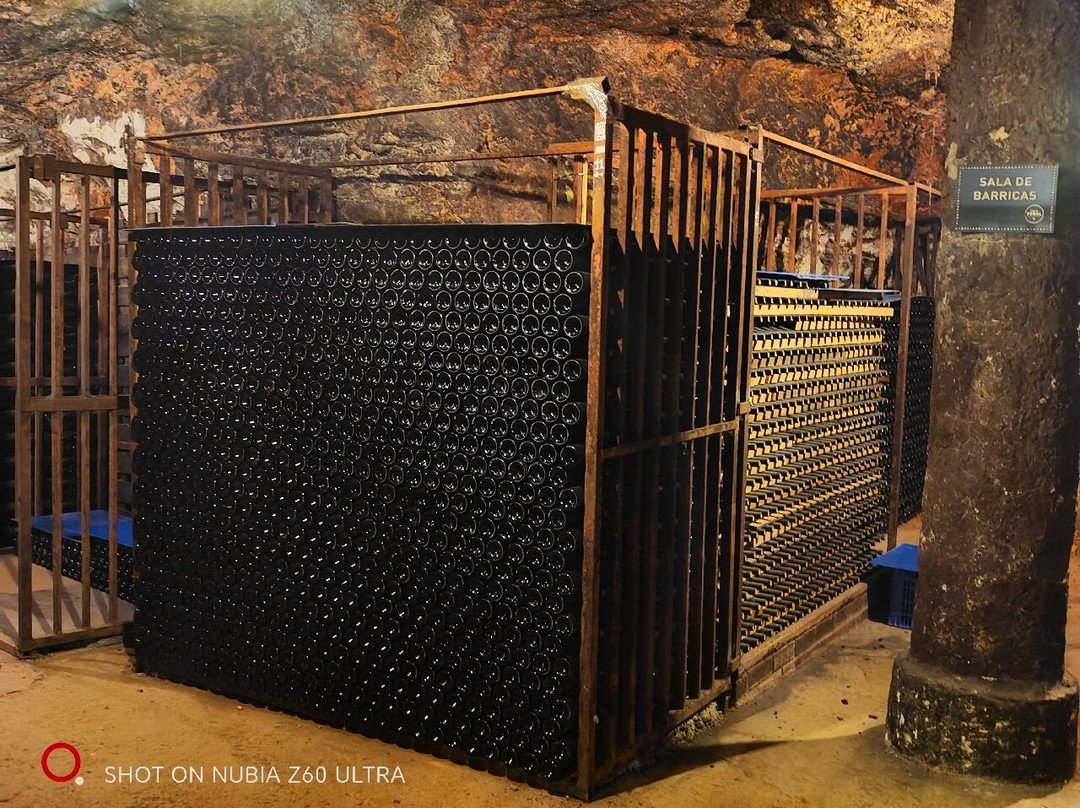 Bodegas Peral-Colmenar de Oreja必去景点