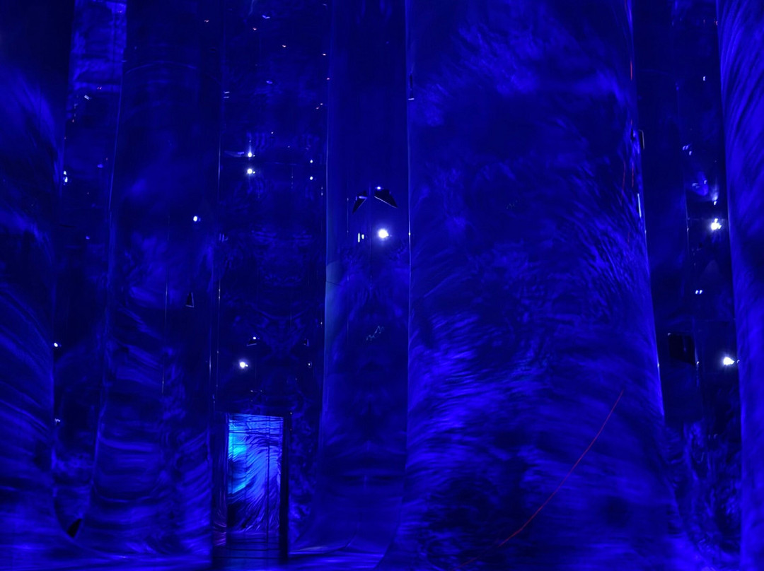 teamLab Phenomena Abu Dhabi-阿布扎比必去景点